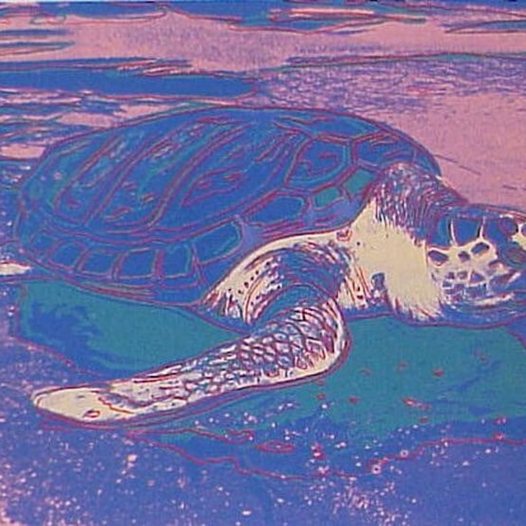 Andy Warhol Sea Turtle, 1985 Screenprint On Lenox Museum Board 31.50h x 39.38w in 240/250 For sale at VFA