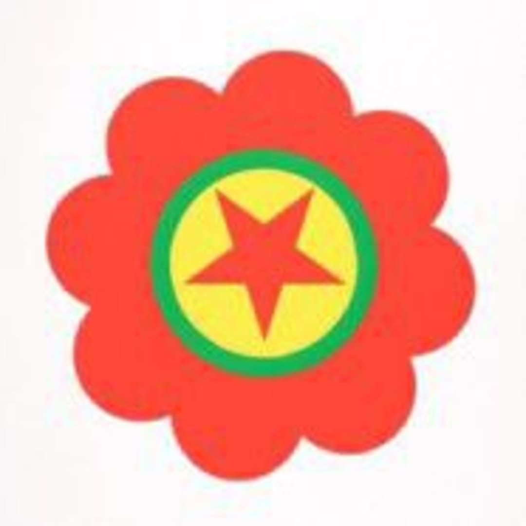 Polly Apfelbaum The Kurdistan Worker’s Party (Flags of Revolt and Defiance)-2006 Color Silkscreen Edition of 27, 30 X 19 in.