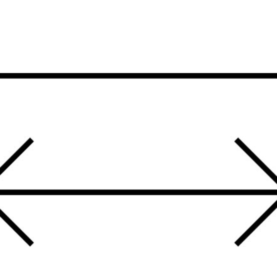 The Mueller-Lyer Illusion: Two parallel lines, one with fins facing inward, the other with fins facing out. Most Americans say that the line with the outward facing fins is larger that the other line.