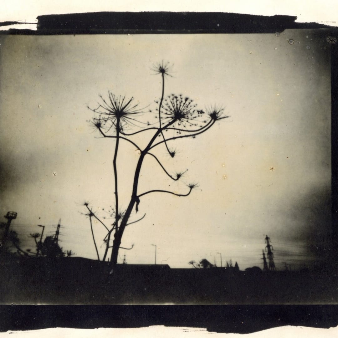 Wayne Foskett