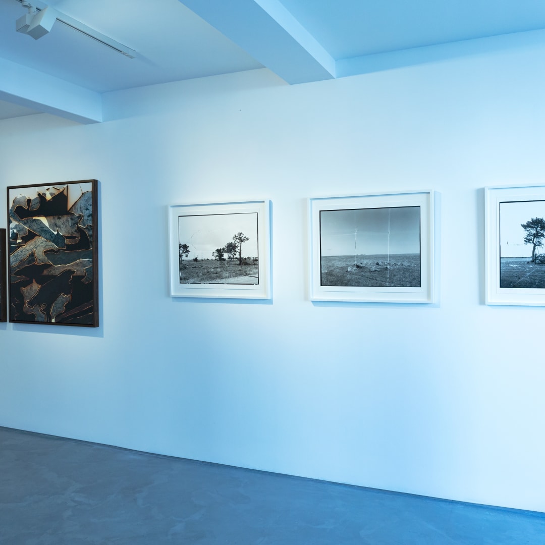 Women In Photography, Informality Gallery, Installation view, 2020. Image courtesy of Informality.