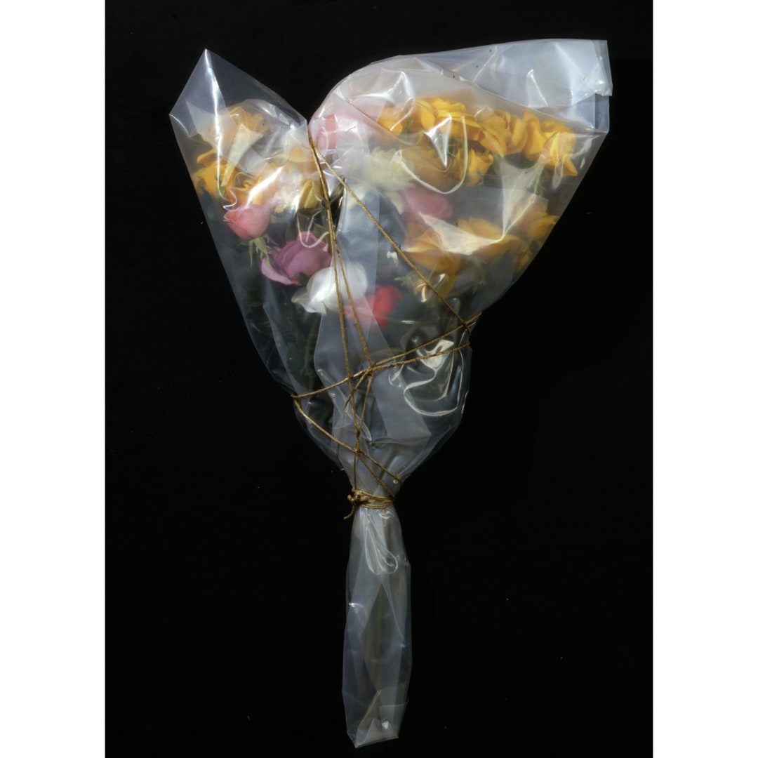 Christo, Wrapped Roses for Jeanne-Claude, 1993