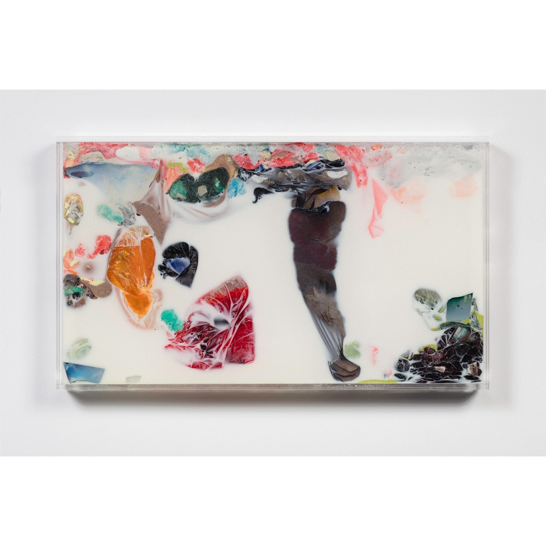 Samara Scott Untitled, 2019 Plexiglass, fabric softener, hair gel, glass, nylon tights, plastic, pigment 40 x 70 x 5 cm