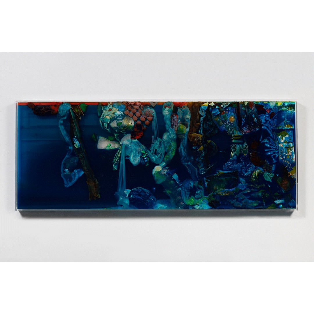 Samara Scott The Glades, 2019 Plexiglass, water, corn oil, pigment, nylon, plastic, ice-cube bags, shampoo, foil, sponge, mixed media 71 x 180 x 5 cm