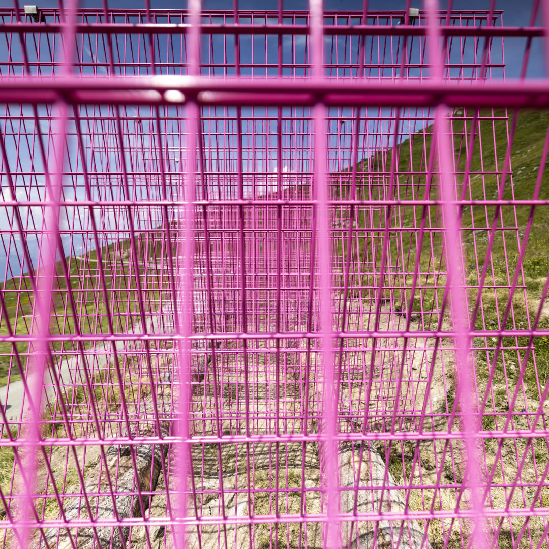 Installation views: Rana Begum and Steve Webb, No.1387 Fence, 2024, Powder-coated fencing, local wooden logs, Verbier 3-D Foundation Sculpture Park.