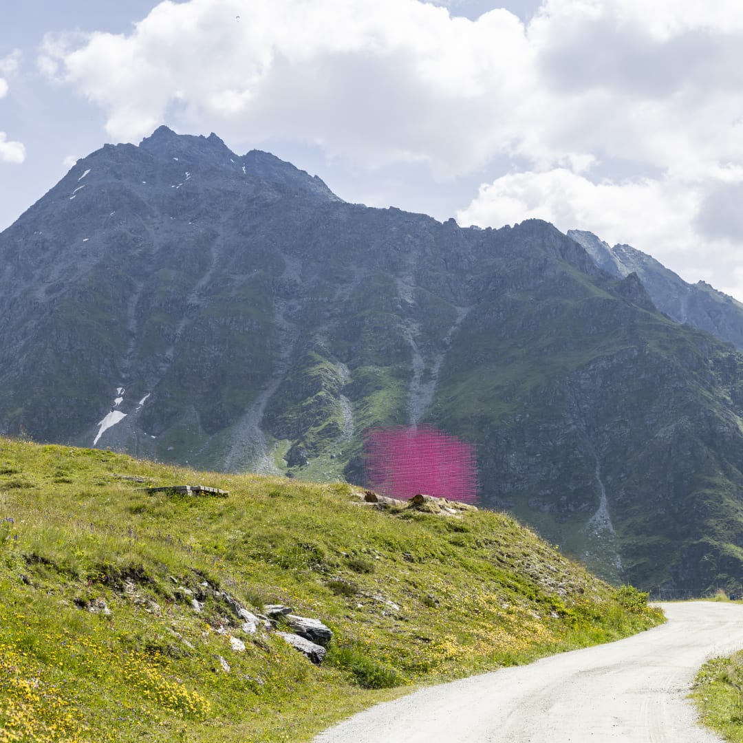 Installation views: Rana Begum and Steve Webb, No.1387 Fence, 2024, Powder-coated fencing, local wooden logs, Verbier 3-D Foundation Sculpture Park.