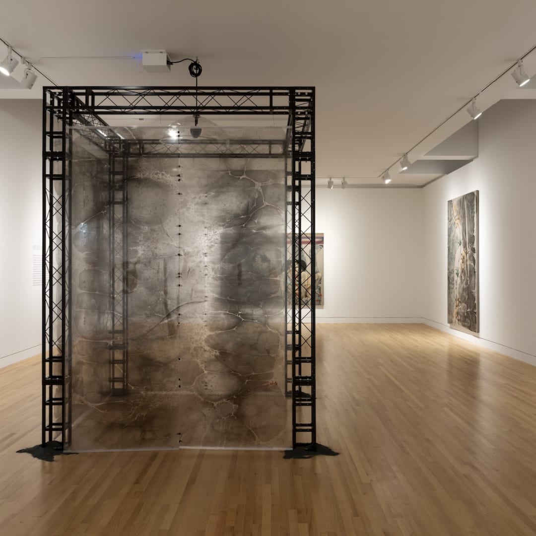 Installation view: Hayv Kahraman: Look Me in the Eyes, Frye Art Museum, Seattle, October 5, 2024–February 2, 2025. Photo: Jueqian Fang