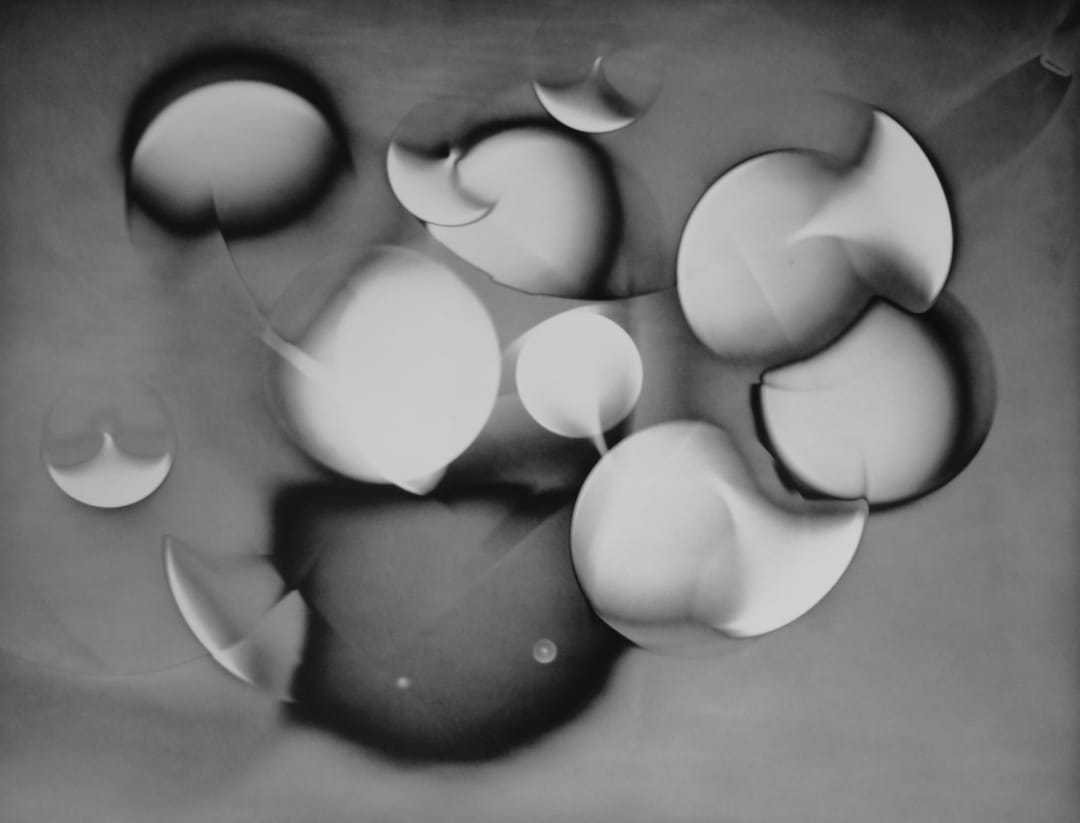 Michael G Jackson Flowers #423, 2016 Unique Silver Gelatin Luminogram Print, Selenium toned 30.5 x 40.6 cm
