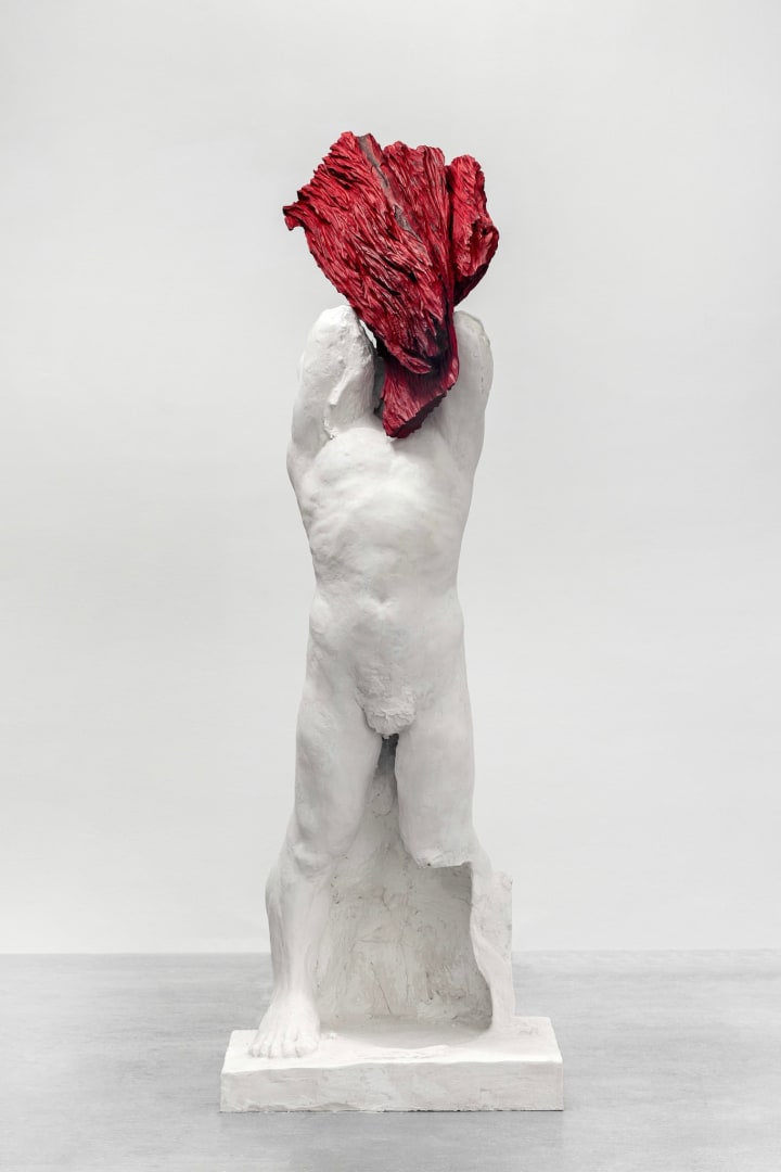 Tereza Štětinová & Martin Žák Žalostné srdce Héraklovo, 2023 Habr, olejová lazura / hornbeam, oil glaze