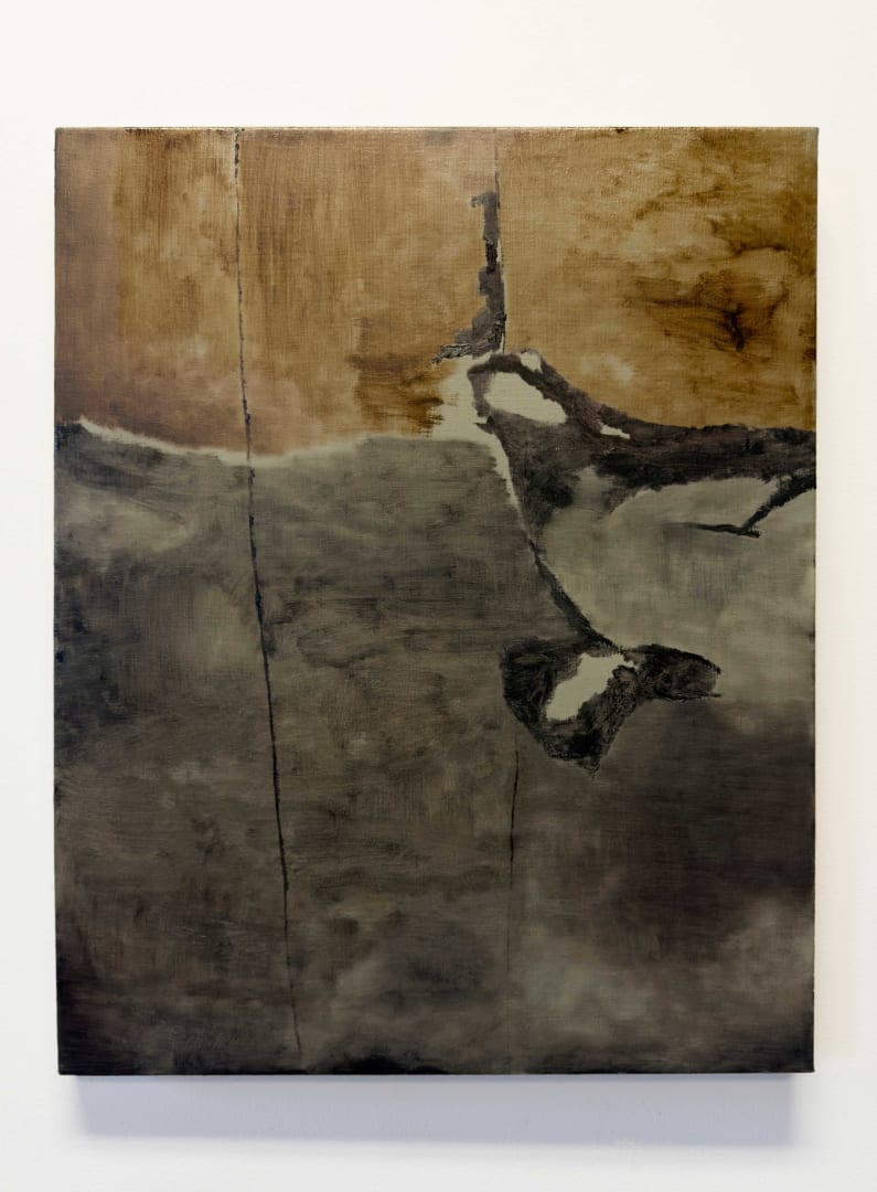 Biraaj Dodiya, Dust and Water (II), 2025