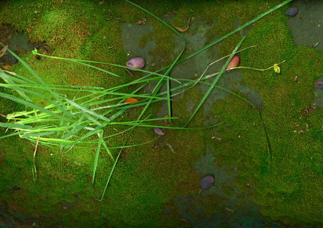 Till Könneker, Close Encounters IV, 2015