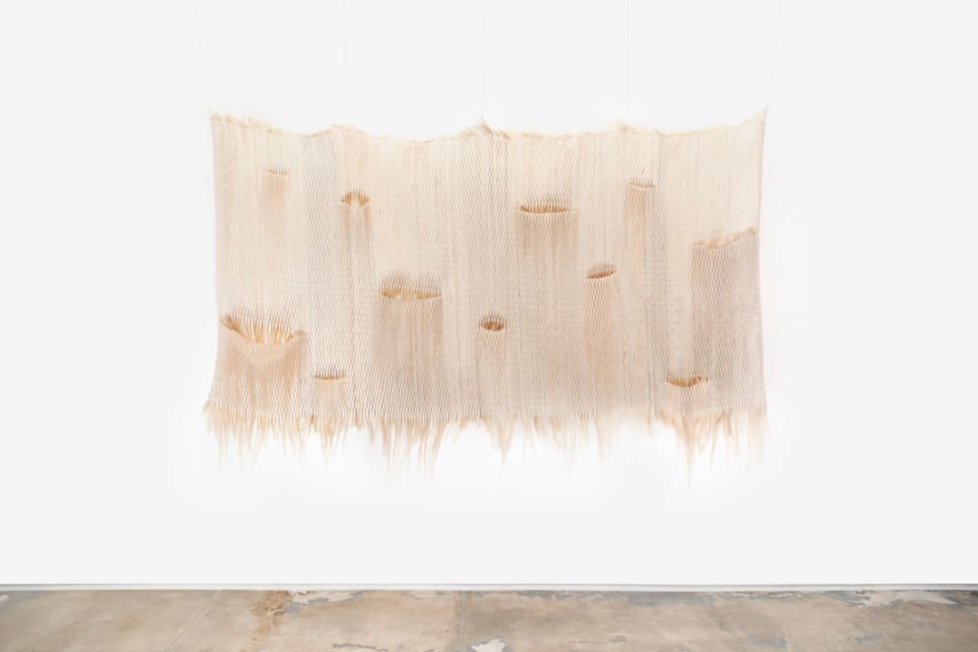 Molly Haynes Changeling Kenaf fiber and monofilament 50 x 84 x 7 in 127 x 213.4 x 17.8 cm