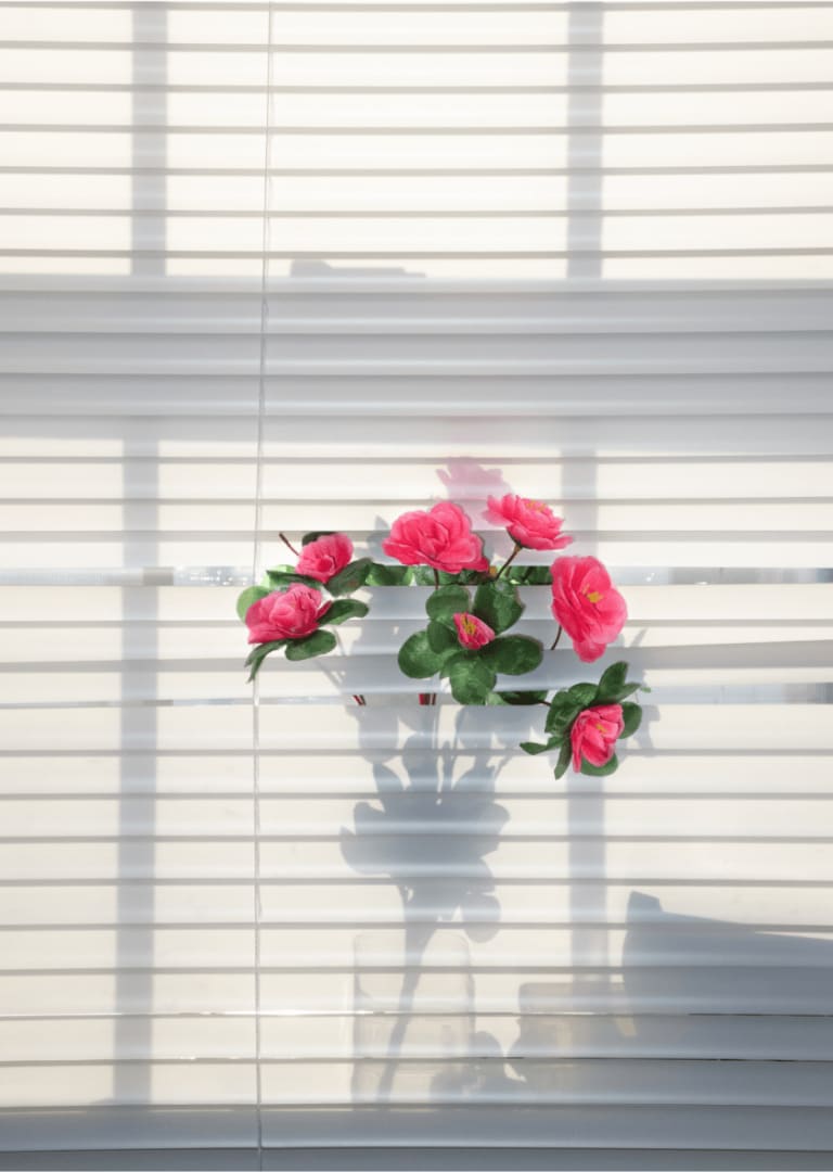 Peishan Huang, Artificial Nature #1, 2020