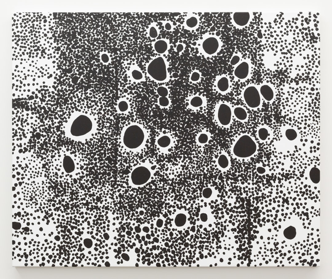Stephen Bram Untitled, 2024 Acrylic on canvas 100 x 121 cm 39 1/2 x 47 1/2 in
