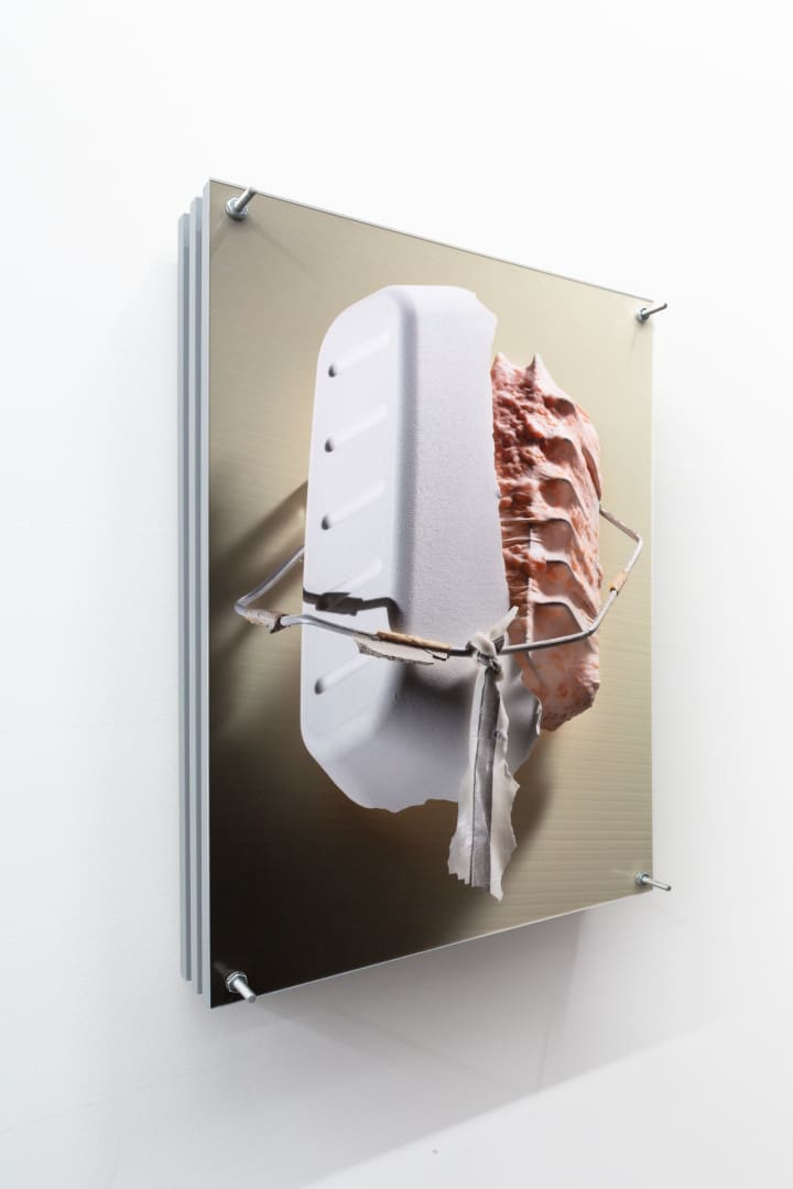 Luke Libera Moore Entropic Totem #4 (Carapace), 2018 Archival pigment print in artists frame, Unique state print 42 x 28 cm