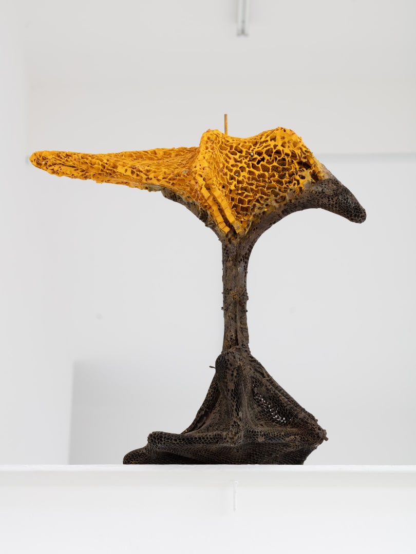 Piotr Bury Lakomy Chicken or King, 2019 Umbrellas, aluminium tent pole, aluminium honeycomb, glue, bone ash, oil paint 63 x 65 x 42 cm