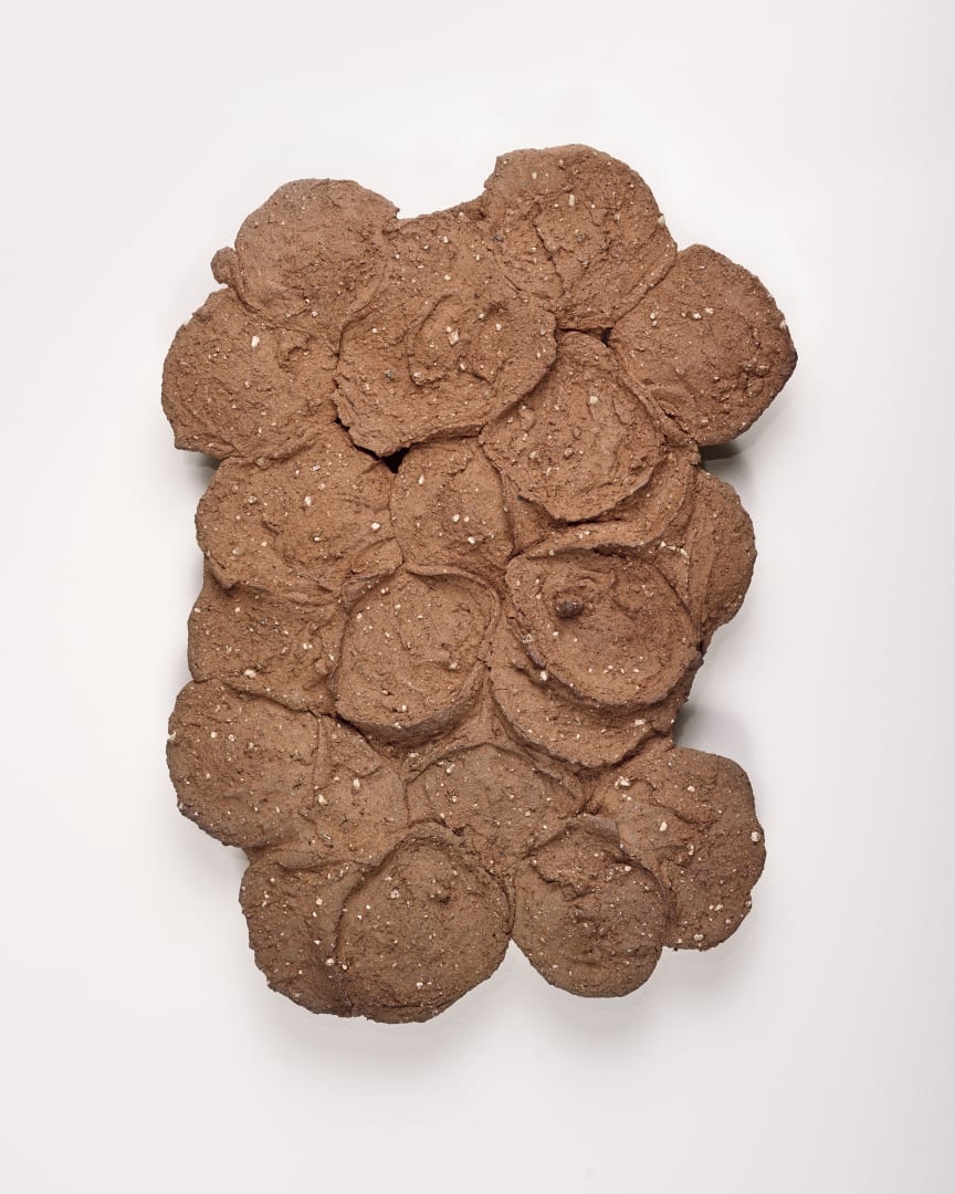 Eiji Uematsu, Clay Flower, 2012, Clay, 19 3/4 x 14 1/8 x 1 5/8 in (50 x 36 x 4 cm)