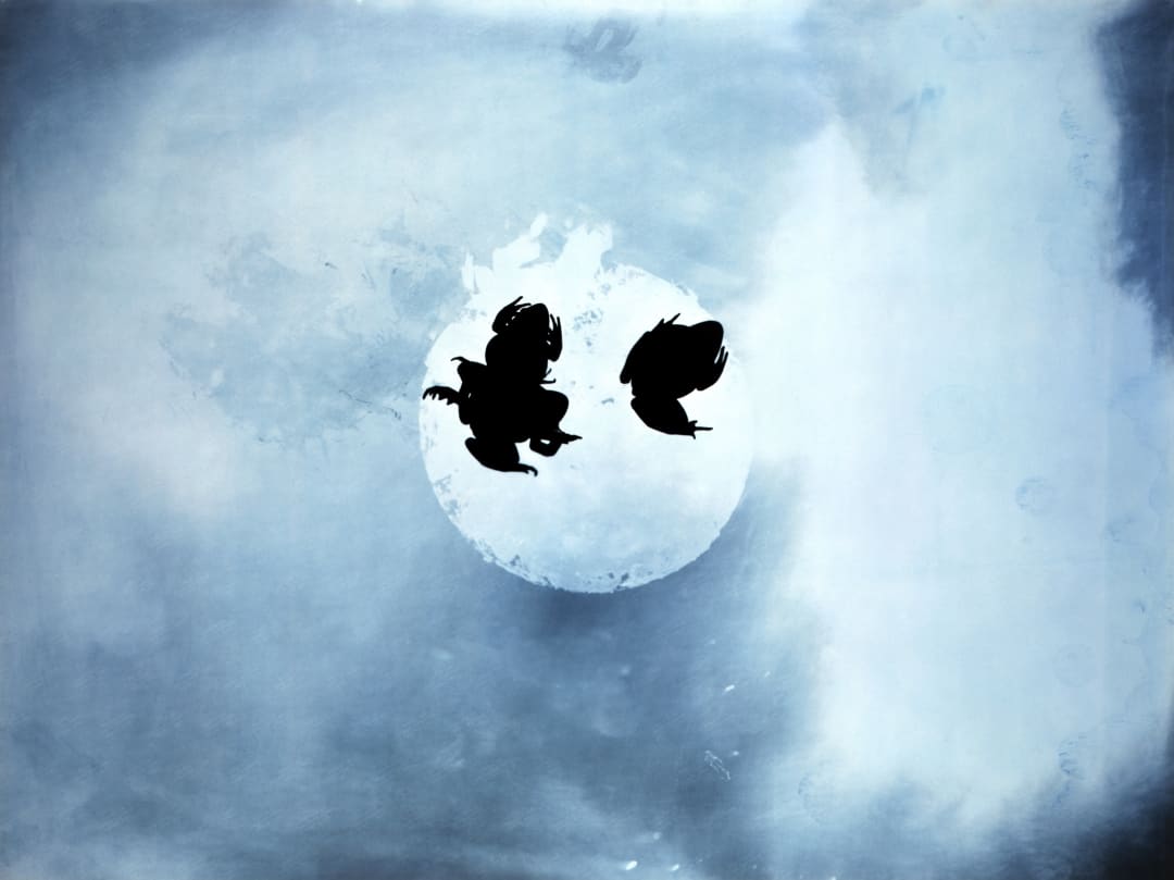 Kunié Sugiura, Hoppings D p2, Gelatin silver print on aluminum