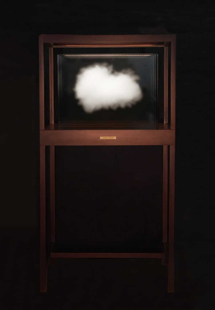 Leandro Erlich, "The Cloud - Lion", 2014