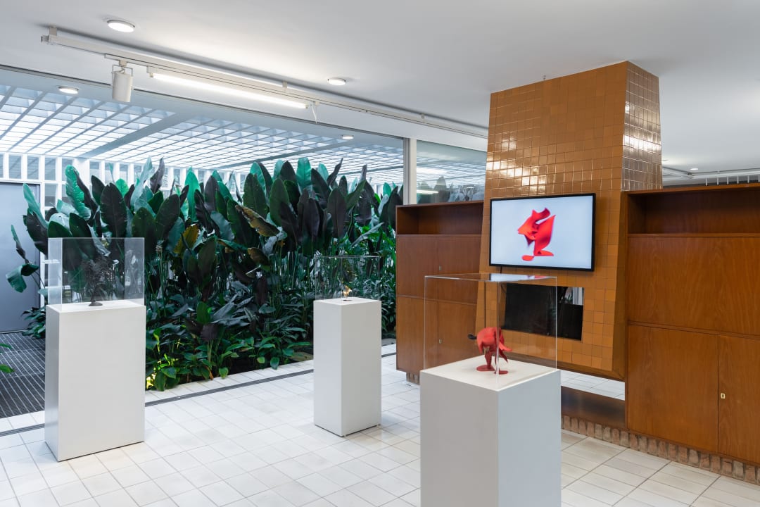 Analivia Cordeiro | Artifinatural Body, curated by Franck James Marlot