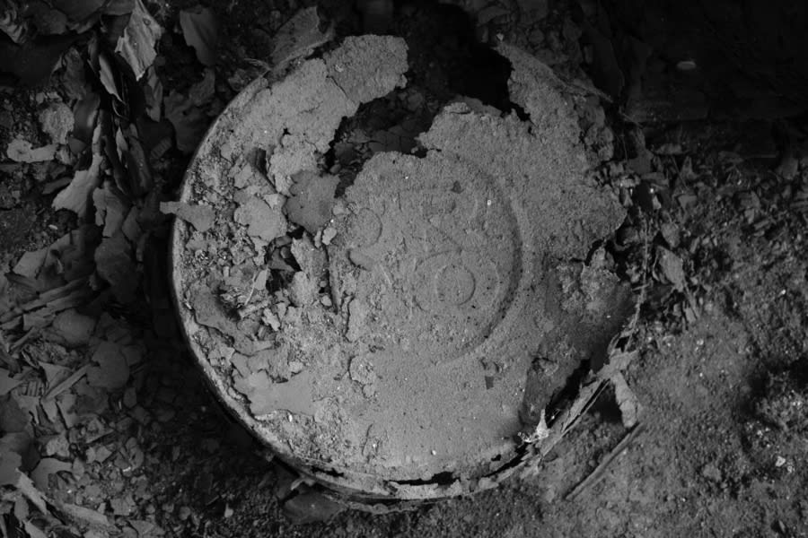 Bani Abidi, Film Reels (2014). Detail.