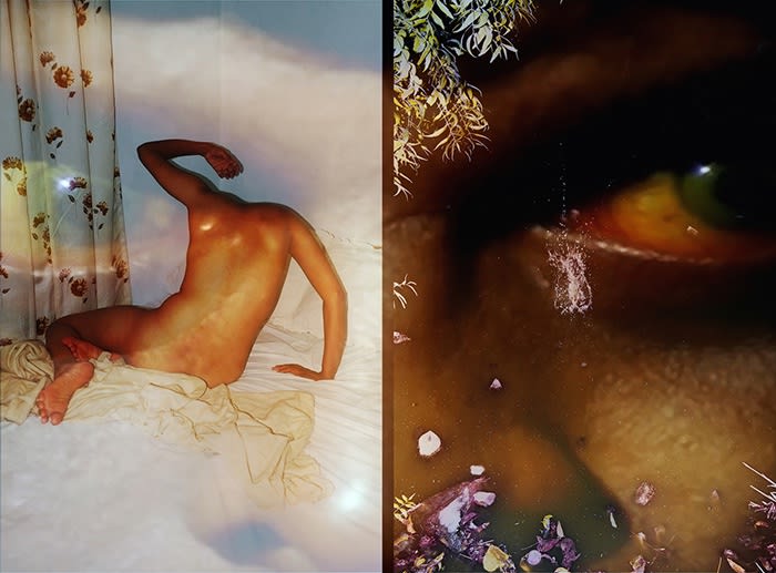 Sohrab Hura (Review) Finding the Forest Through the Trees: The 64th Internationale Kurzfilmtage Oberhausen