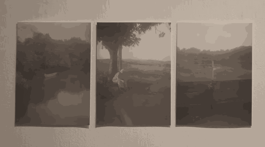 IndulgExpress : Goan artist Rai shines through her works on coastal wetlands at Kolkata exhibition