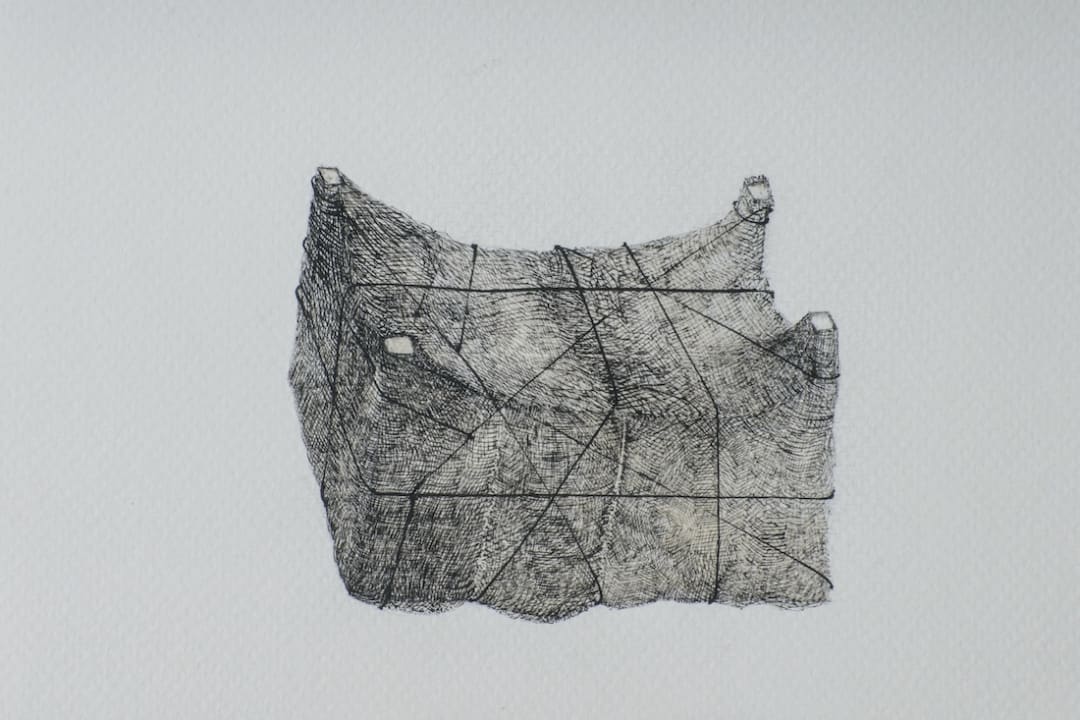 Platform Magazine: Nestled: Adip Dutta & Meera Mukherjee