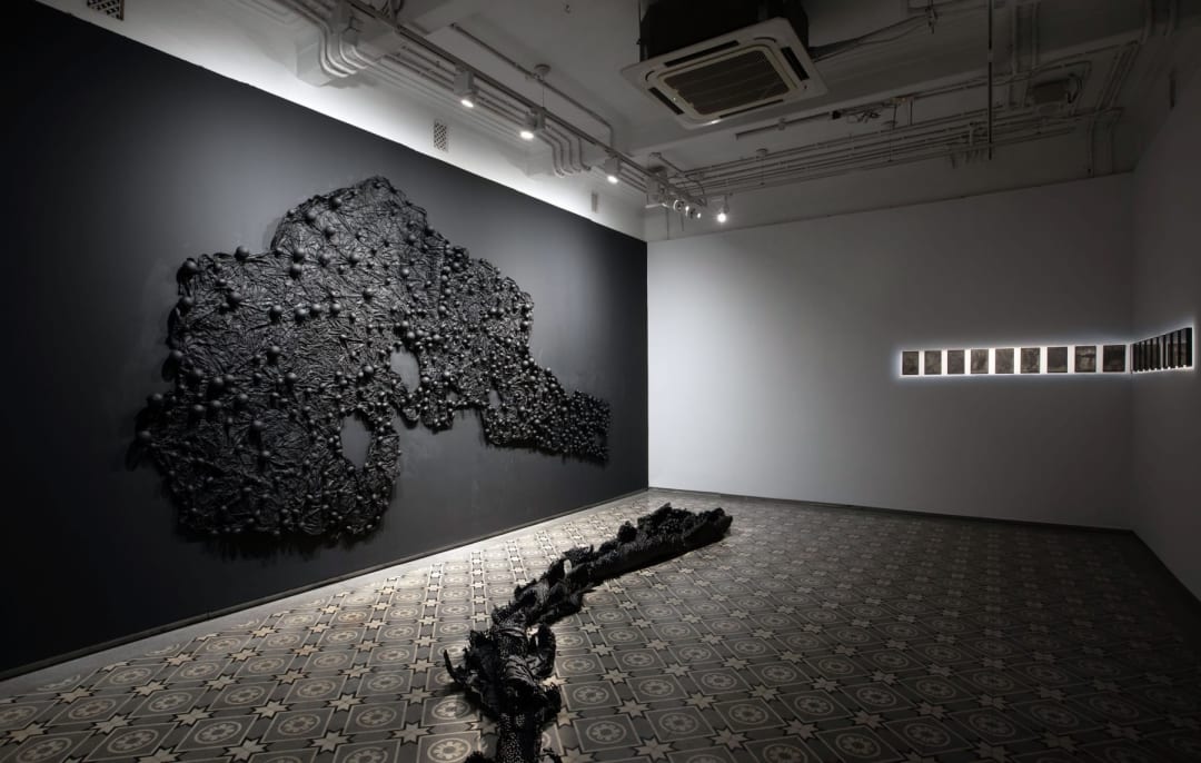 Live Mint : In 'No Race, No Color' a Sri Lankan artist finds healing in fragile ecologies