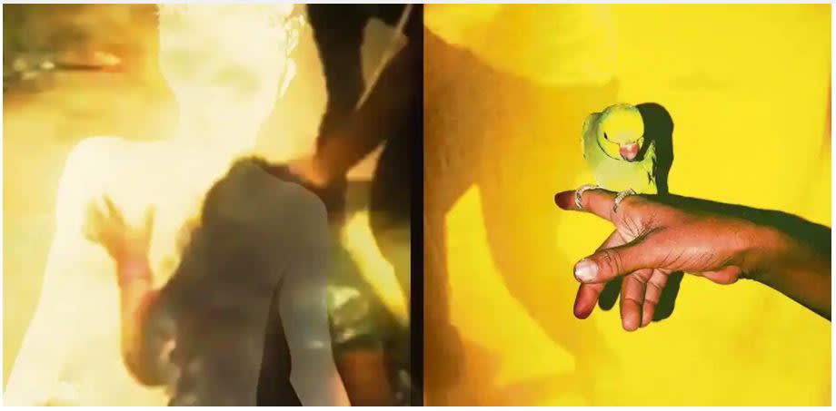 Live Mint: Into the rabbit hole of Sohrab Hura's art