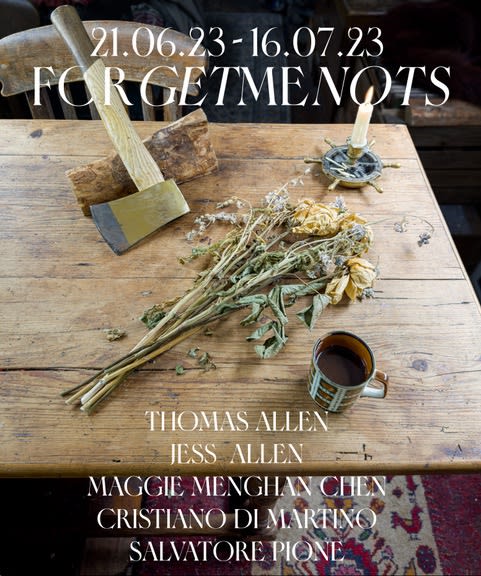 Forget-Me-Nots, The Split Gallery