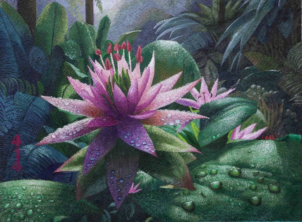 Yves Clerc : Back to Nature