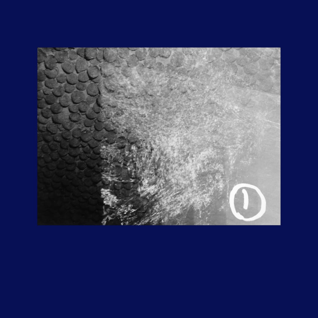 Jamilah Sabur, Eltanin