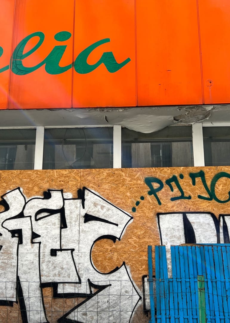 Bone, Flesh & Skin XII, 2022