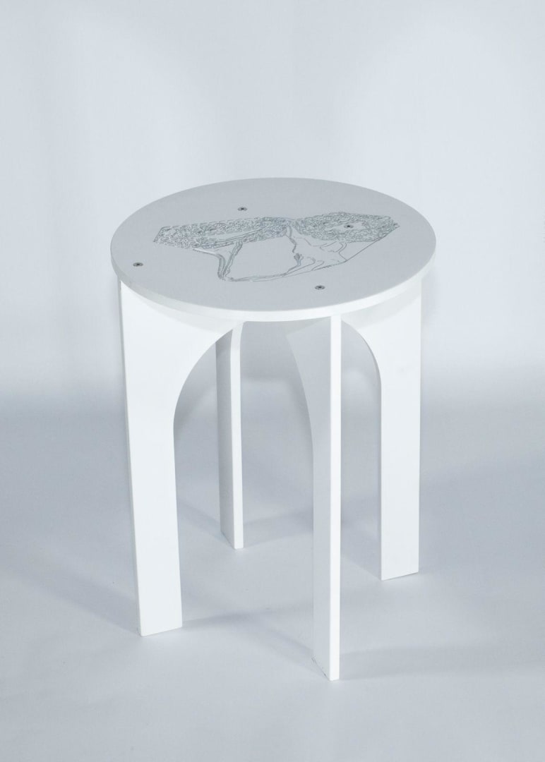 Lena Marie Emrich, Lingerie Drop (Coffee Table Series), 2024