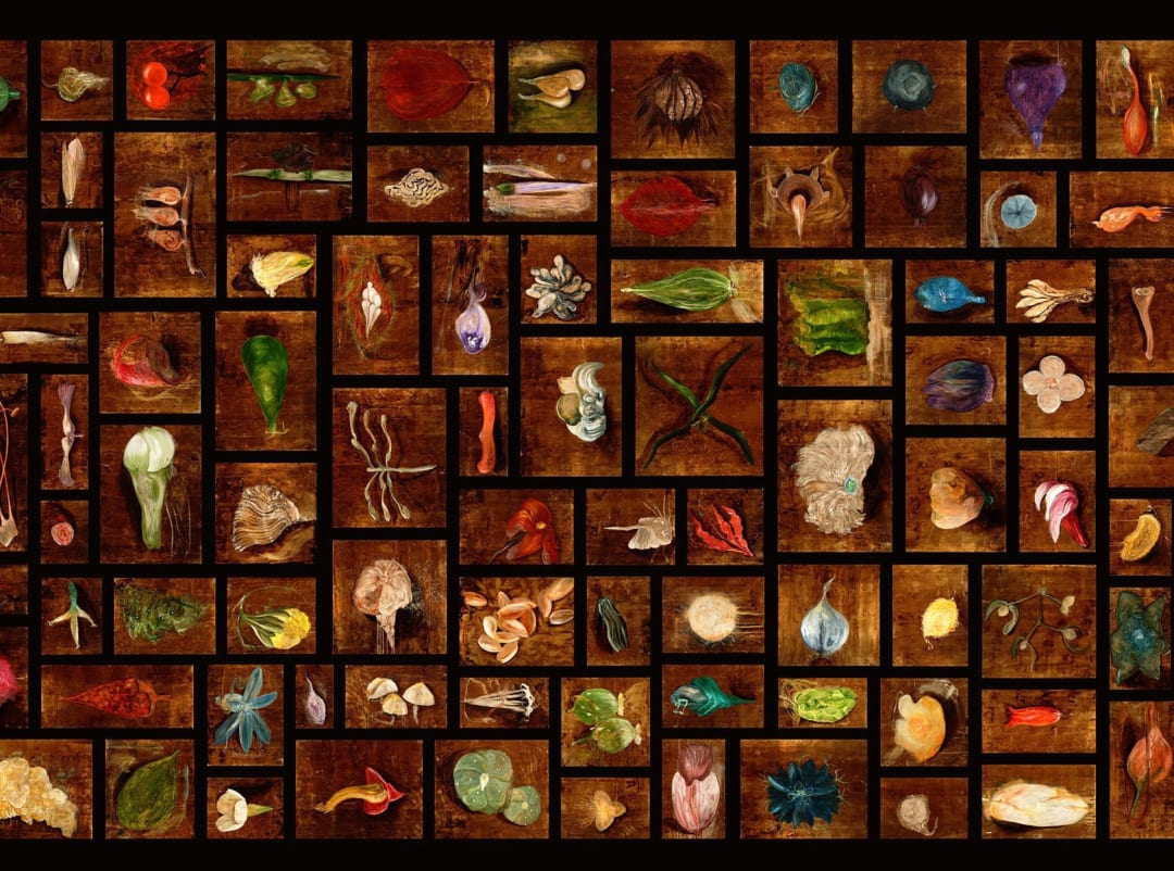 Paul Renner, Wunderkammer