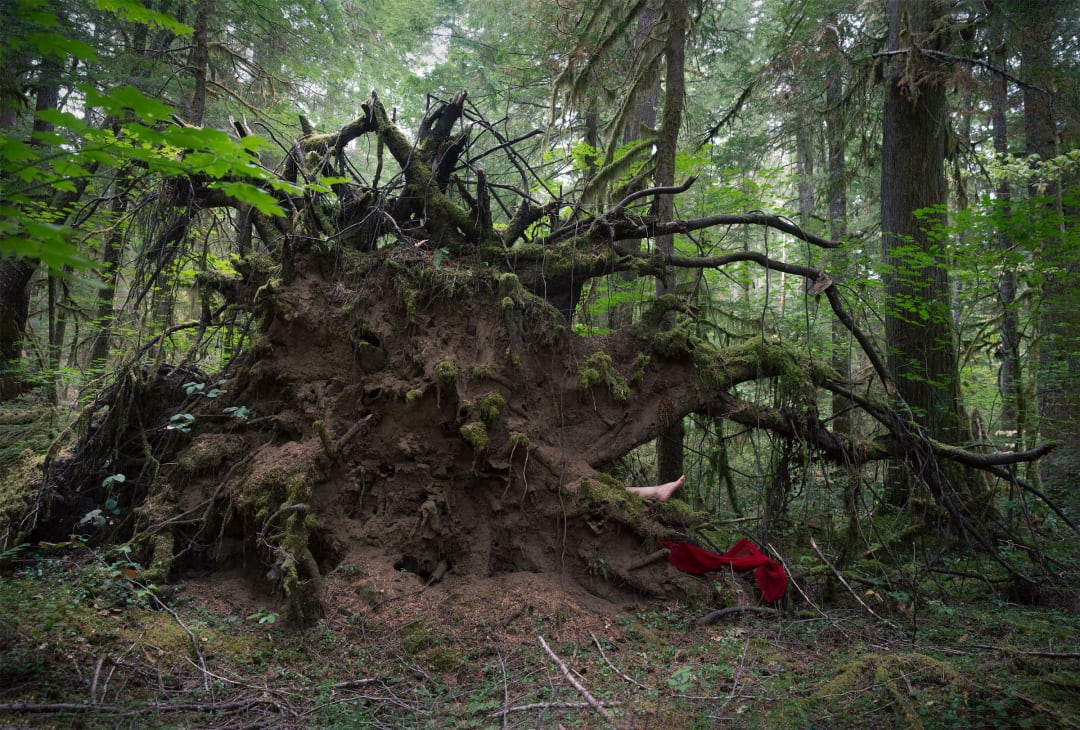 NAEEMEH NAEEMAEI JAAN #9 Inkjet and Willamette National Forest ash on canvas 40” x 60"