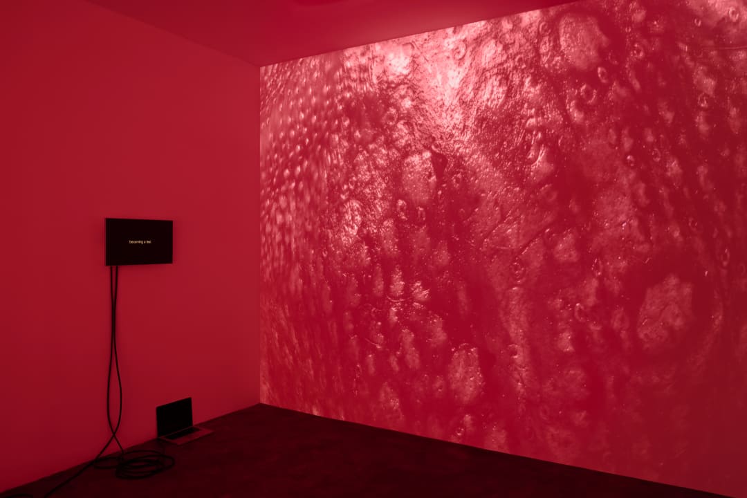 Más allá del mundo, hay letras , Federico Pérez Villoro