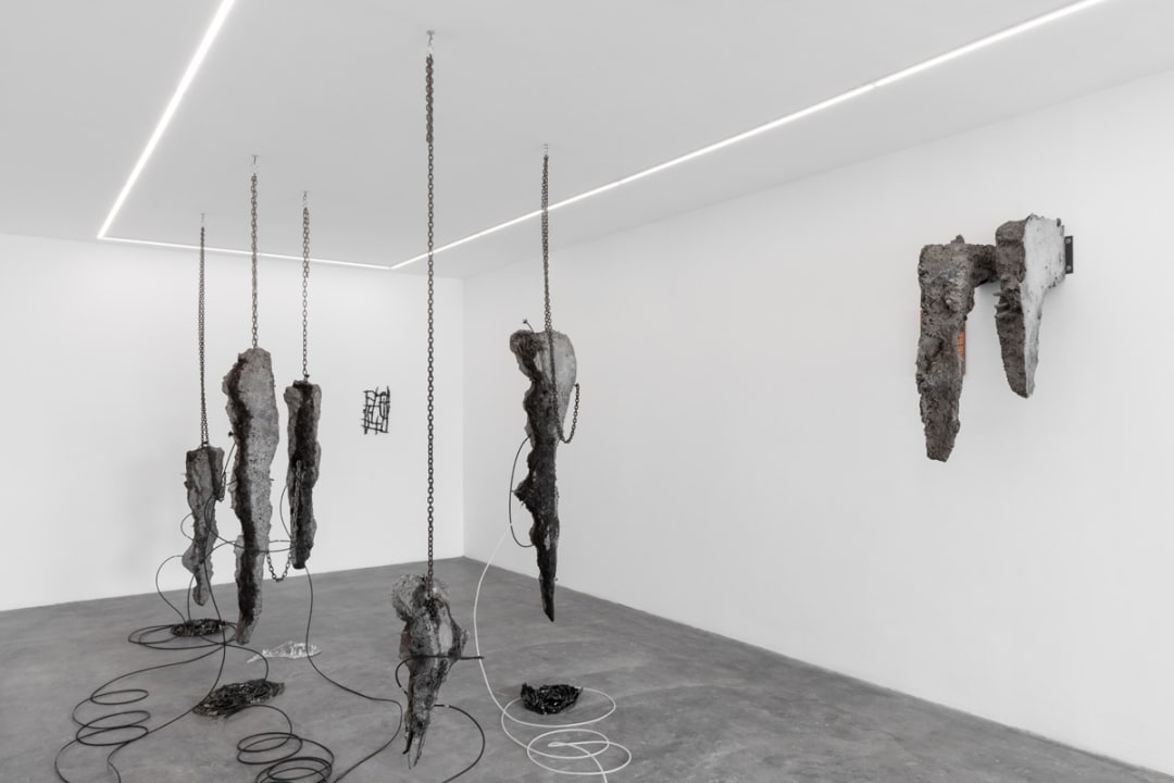 Usando este cuerpo, pensando en la fuente, Tomás Díaz Cedeño