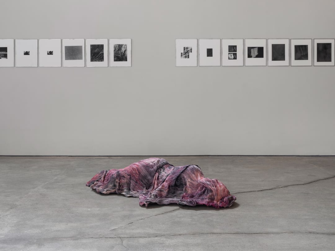 El desierto de ella; Alicia, Chantal, Eunice, Manuela de Laborde, curated by Margaux Knight