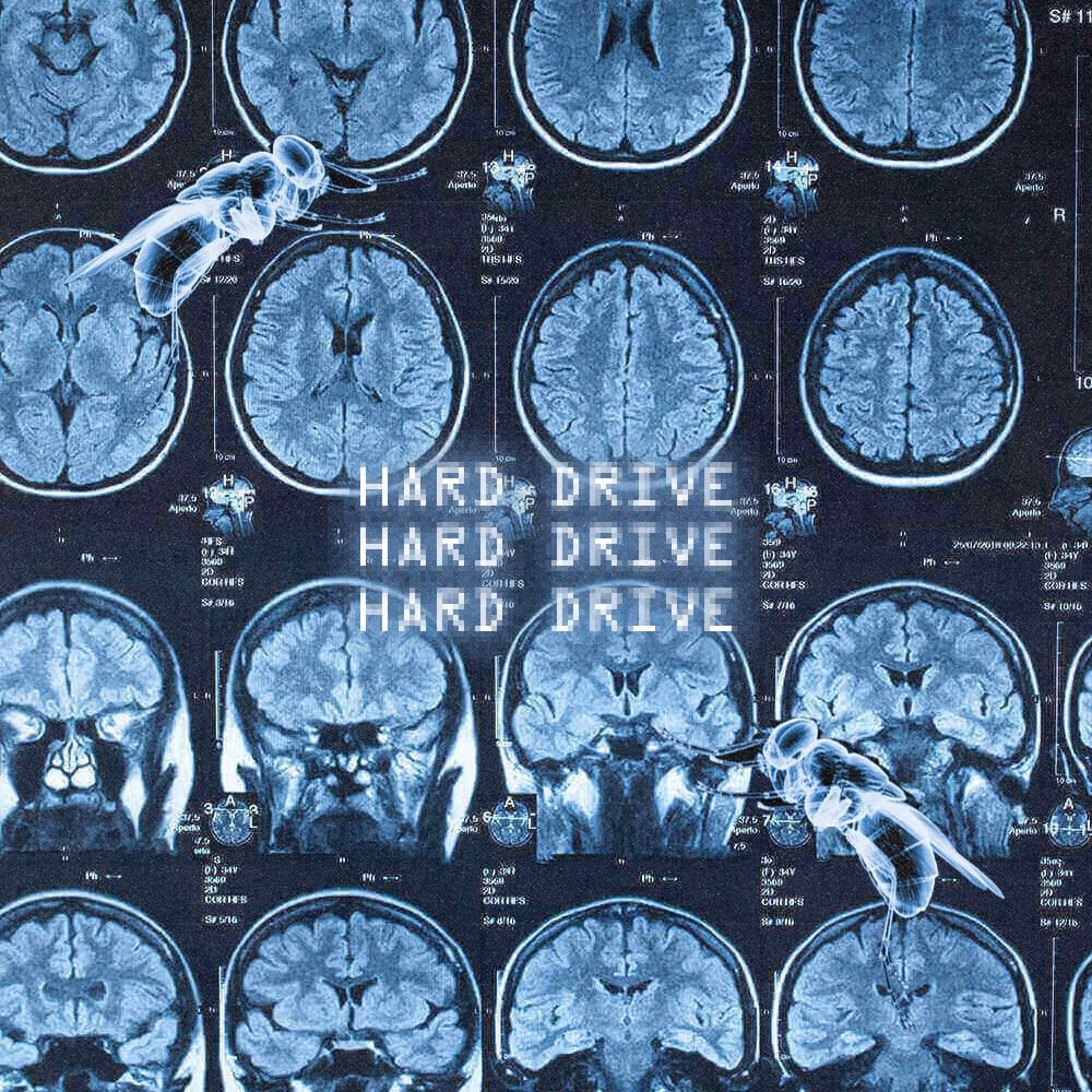 image of a brain scan with 'Hard Drive' written across it