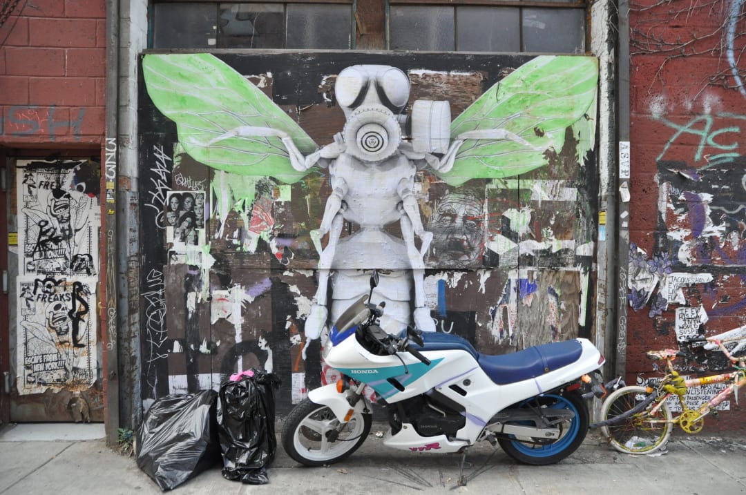 "Insect on Wythe by Ludo" by hragv is licensed under CC BY-ND 2.0. Taken on May 29, 2010