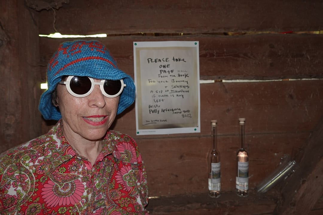 US artist Polly Apfelbaum, 2021 at Aterlie Amden, a small space in Switzerland, where she had an exhibition. The instruction on the wall shows her side as a conceptual artist. The public was asked to take one of the copies of pages of her book The Green House from the wall and then drink a Schnaps. 21 May 2022, photo by Haemmerli is licensed under CC BY-SA 4.0.