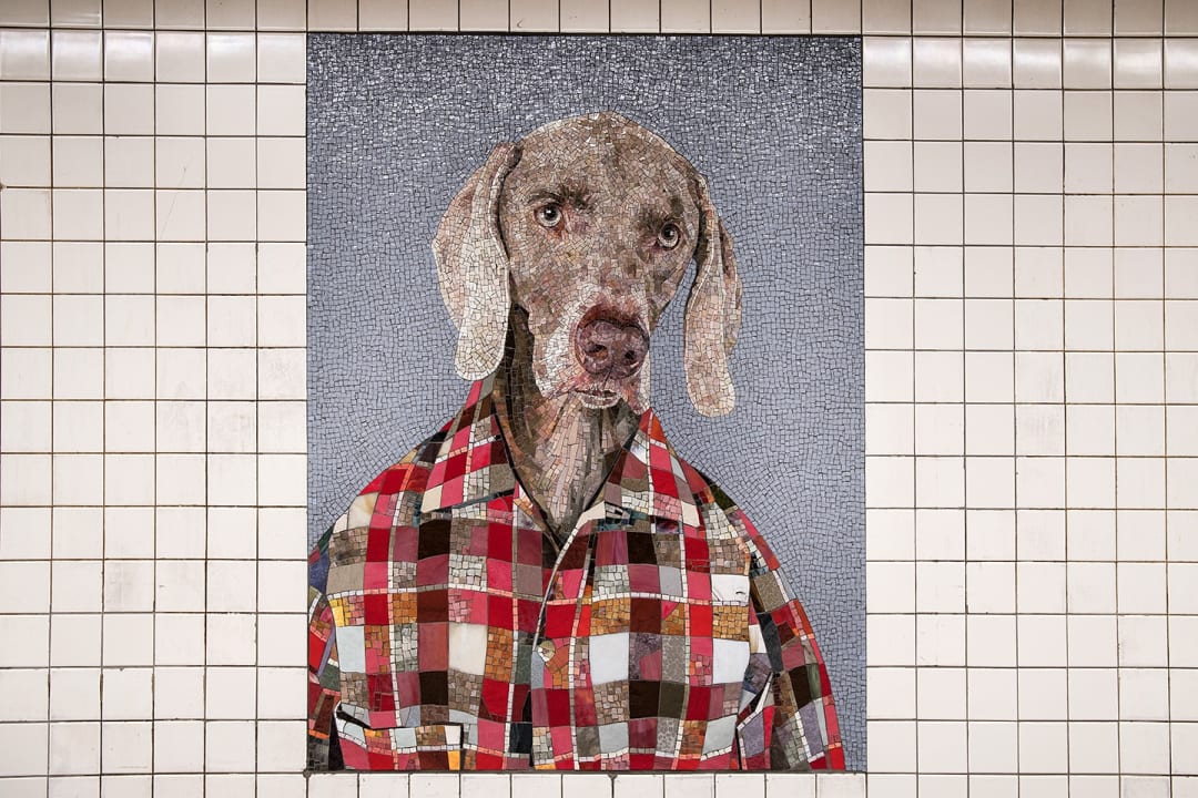 MTA New York City Transit 11 glass mosaic portraits, collectively titled "Stationary Figures," by William Wegman, November 29, 2018. Photo by MTAPhotos is licensed under CC BY 2.0.