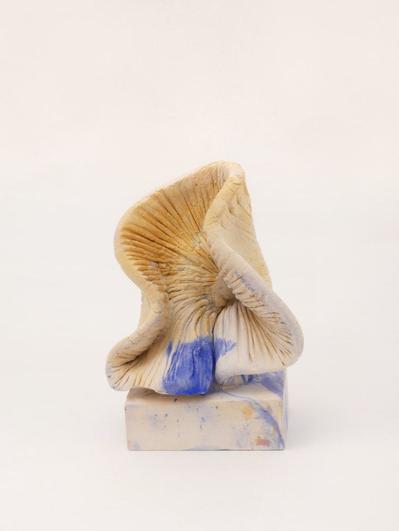 Nika Kupyrova, BY1-5, 2021