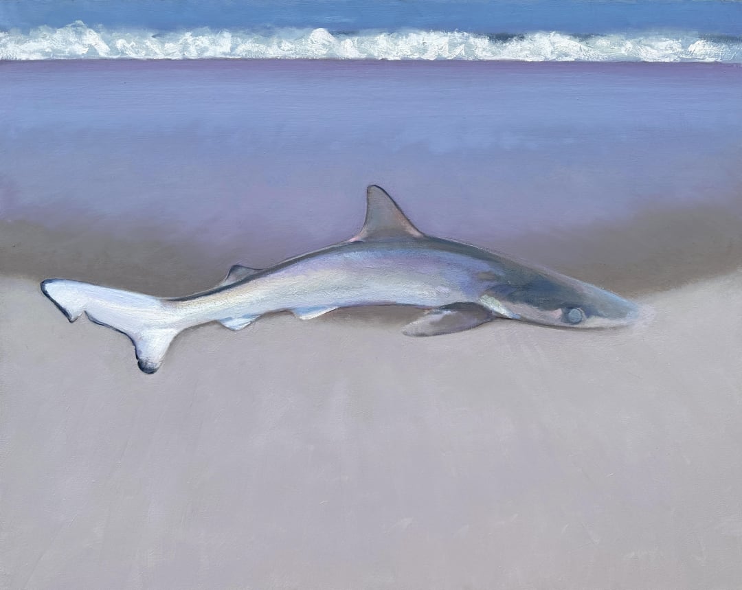 Shane McClatchey, oil on canvas, depicts shark washed up on shore, blue, purple, beige, horizontal, represented by Kennedy Contemporary Art Gallery and Consulting