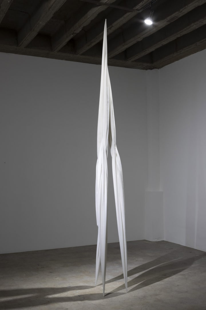 Eli Ping, Monocarp, 2021