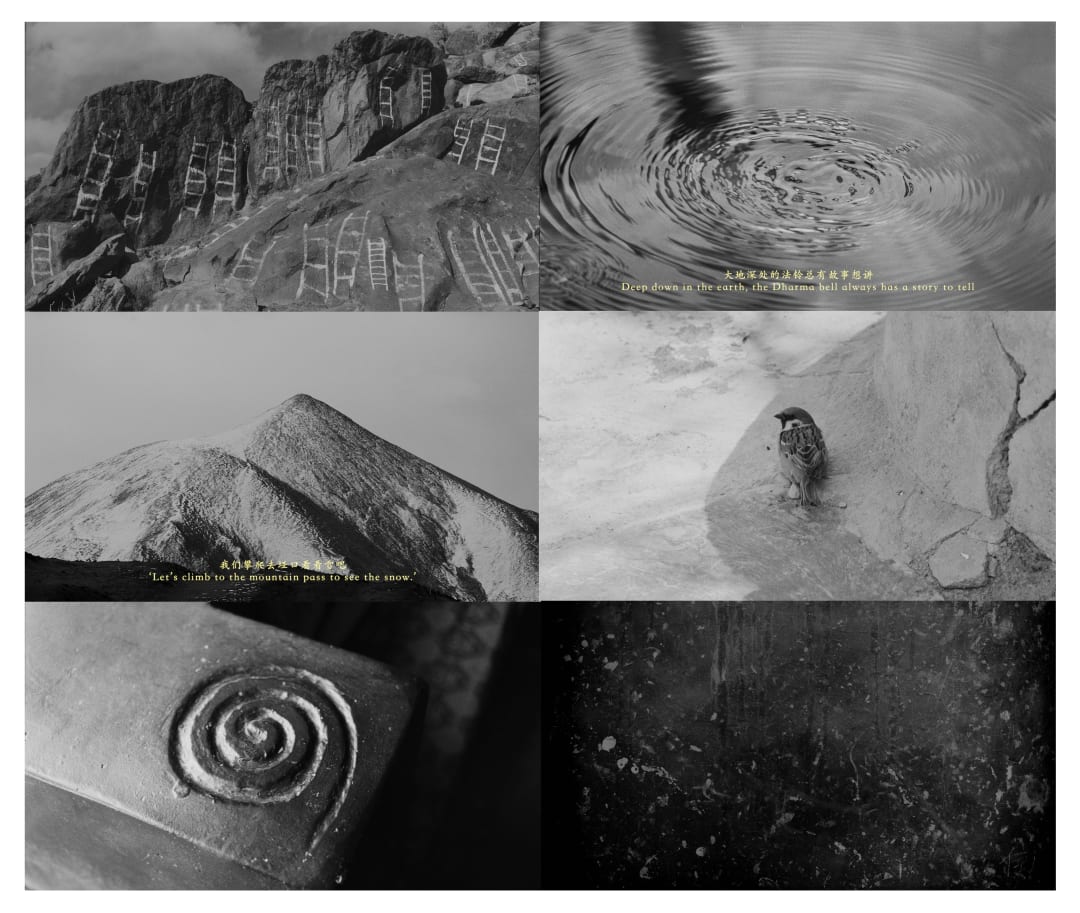 Art Basel Hong Kong | Film | Nature's Mirror