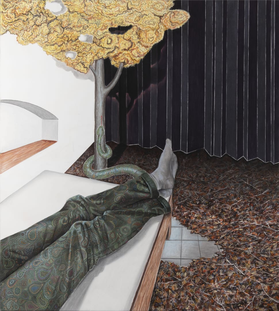 Karolína Netolická, Proximity in distance