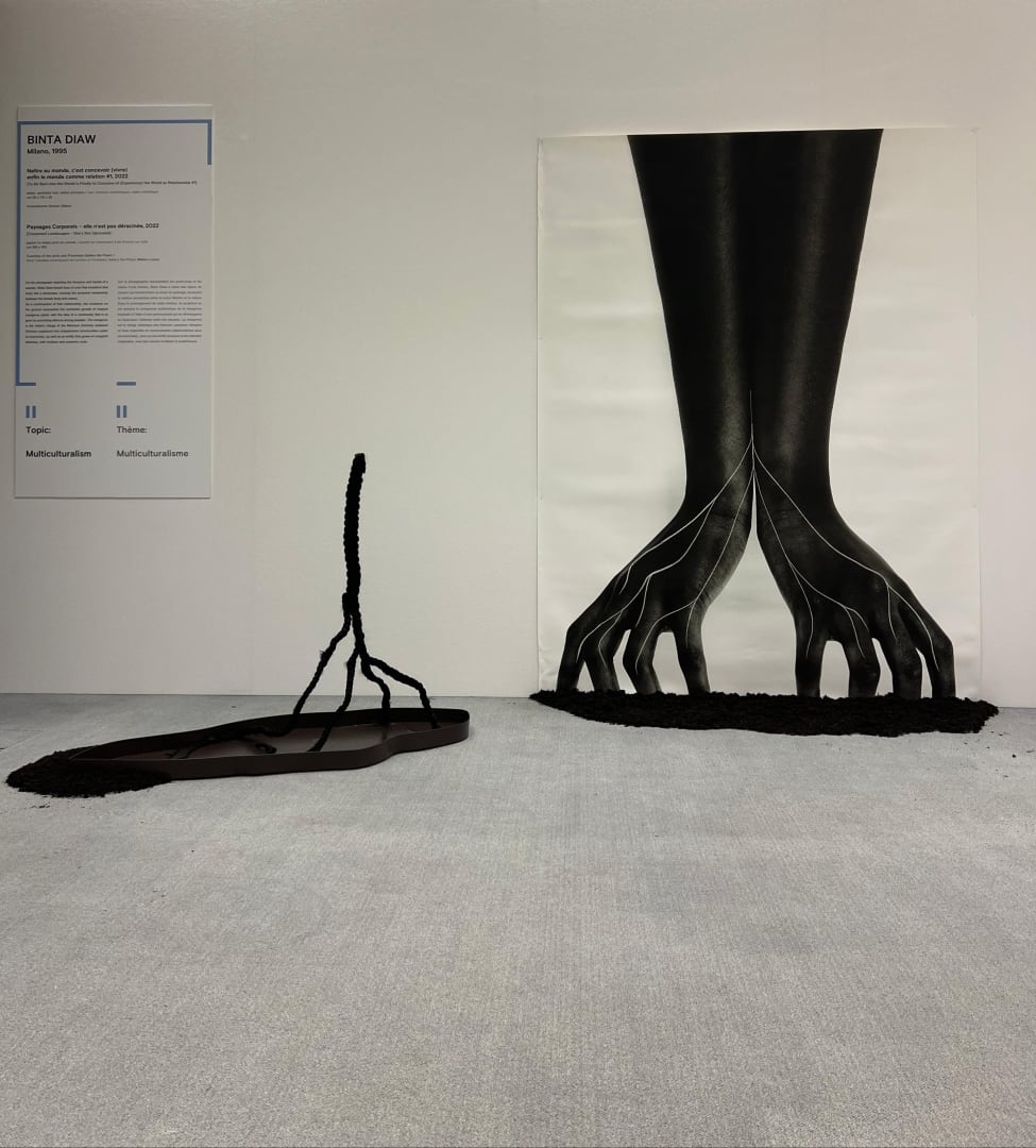 Arte italiana e Diritti Umani @ Palais des Nations, Binta Diaw